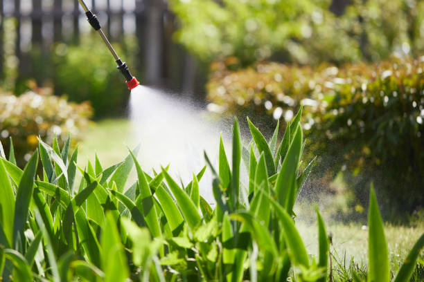 24/7 Emergency Termite Control experts in Richlands, NC