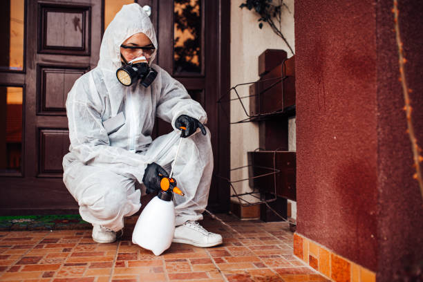 Reliable Termite Control contractor in Richlands, NC by Nex Pest Control